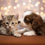 Como preparar a casa para a chegada de um novo pet