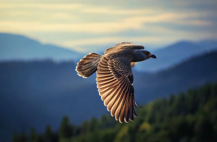 Como identificar aves pelo canto: Guia para iniciantes